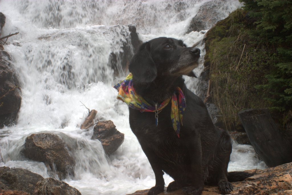 At the coffee&nbsp;shop