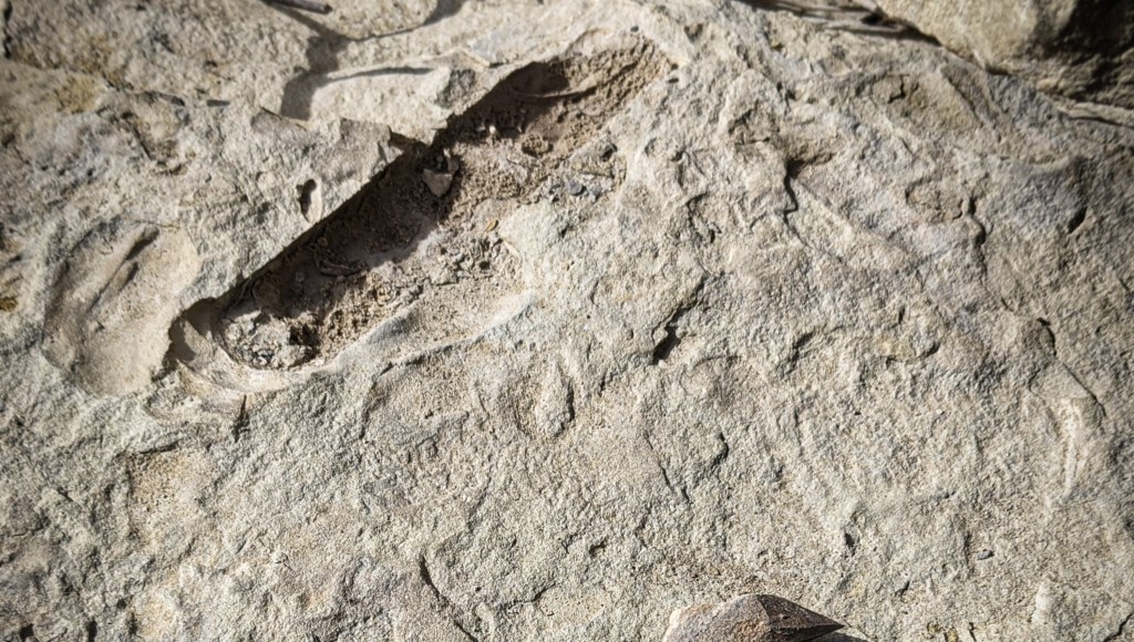 Lessons From The&nbsp;Trial