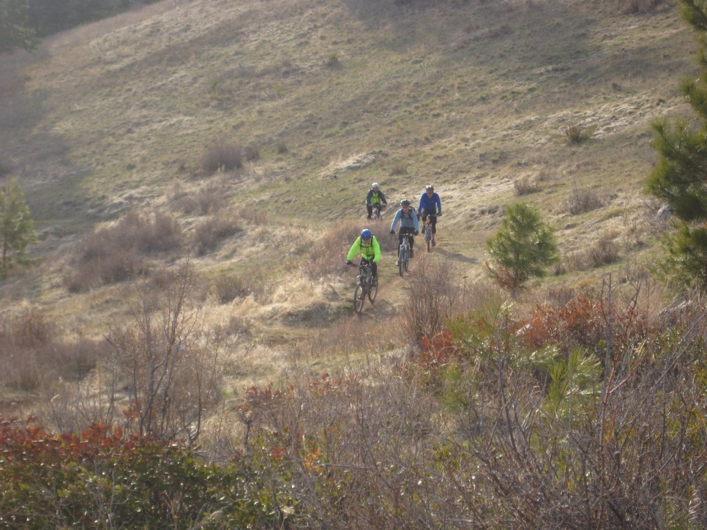 Where Have All The Flowers&nbsp;Gone?