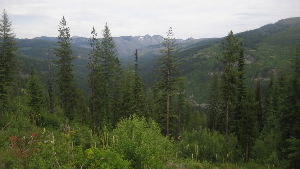 Two Years Ago&nbsp;Today