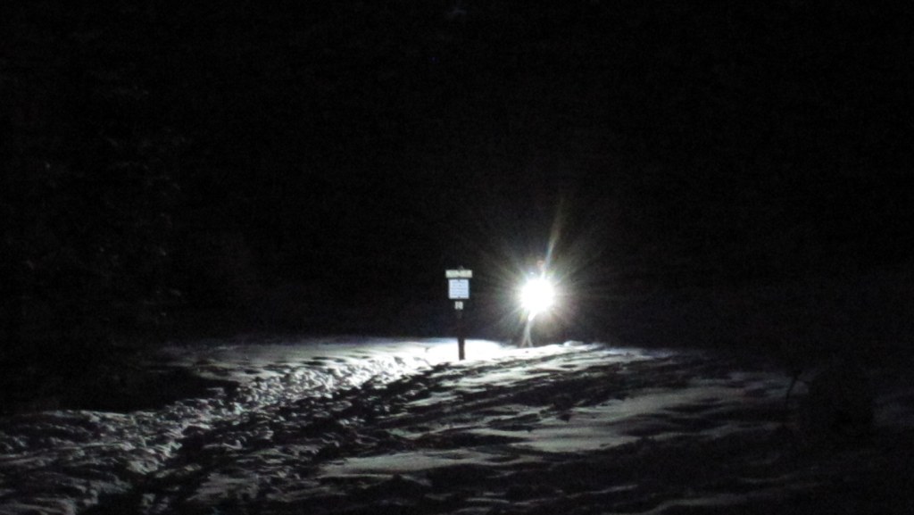 JayP Backyard Fat Pursuit Part&nbsp;3