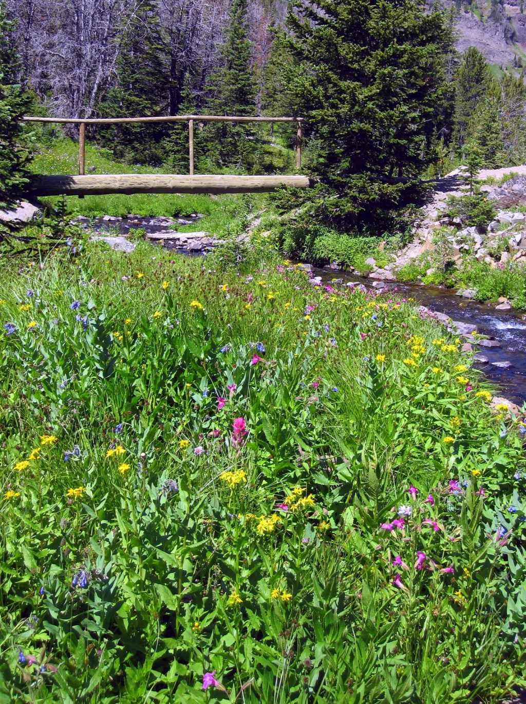 Blog From Camp Day&nbsp;2