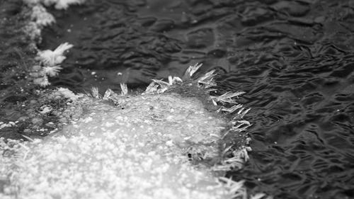 2012_11_19_mo_respite_003