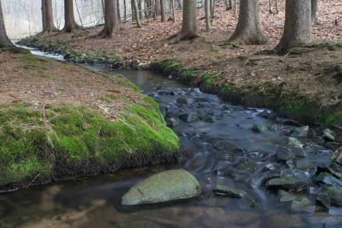 In 2004 I got a new DSLR camera and started to take photos