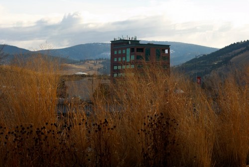 When I was 39 I found myself back home in Montana and taking a birthday trip to Bernices Bakery