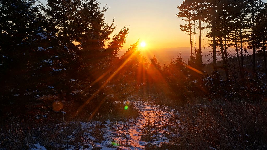 Training to be&nbsp;broken