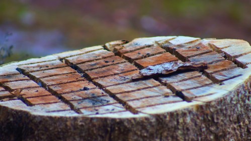 Natural chess board