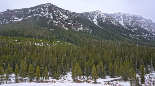 Looking across Hyalite Creek
