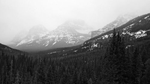 Looking up Hyalite Canyon
