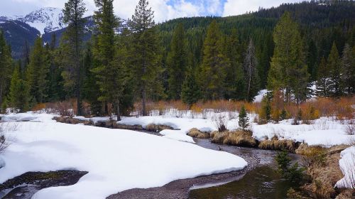 Hyalite Creek