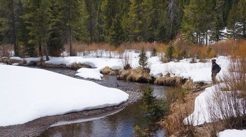 Mo looks for trout ... ok, maybe not.