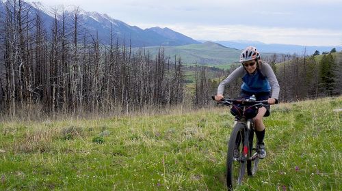 Absorka Mountain Biking