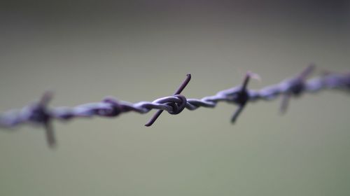 Barb-wire Fence