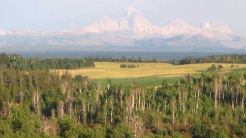 Photo by Chad Devall