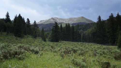 West Fork Blacktail Deer Crek