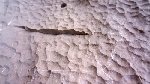 Riverbed Like Fossil