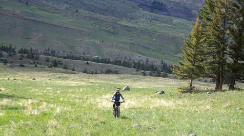 Mo climbs out of the Natural Bridge area