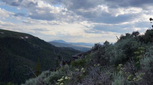 Ridge Above Antone Cabin