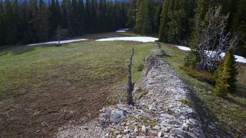 Gallatin Ridge Trail