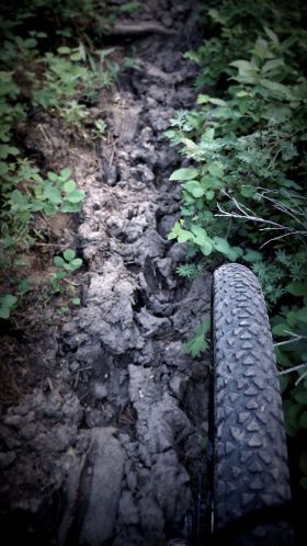 Dry clay trampled by horses is NOT easy to ride