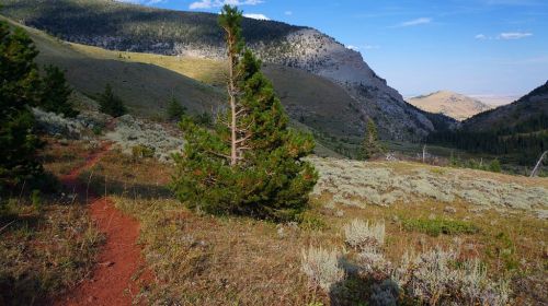 Trail down Willow Creek