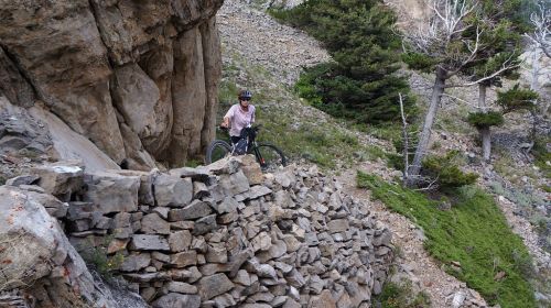 Clinging to the canyon walls