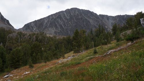 Unknown peak between Iddings Peak and Crazy Lake
