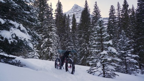 Larry poses on the Hyalite Trail