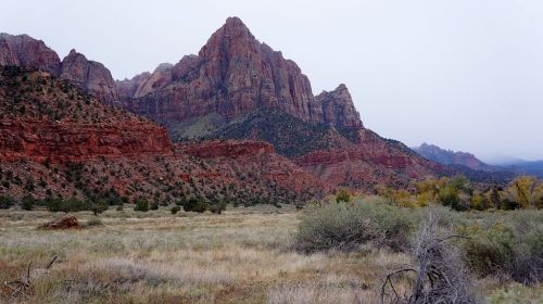 Biking Zion
