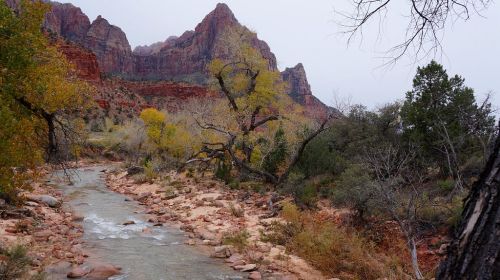 Parus trail crosses the Virgin River