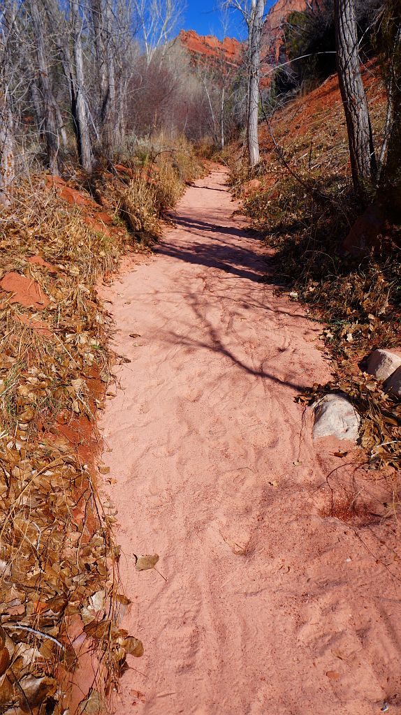 Off the beaten&nbsp;path