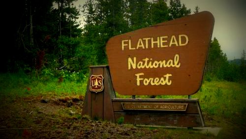 Flathead NF