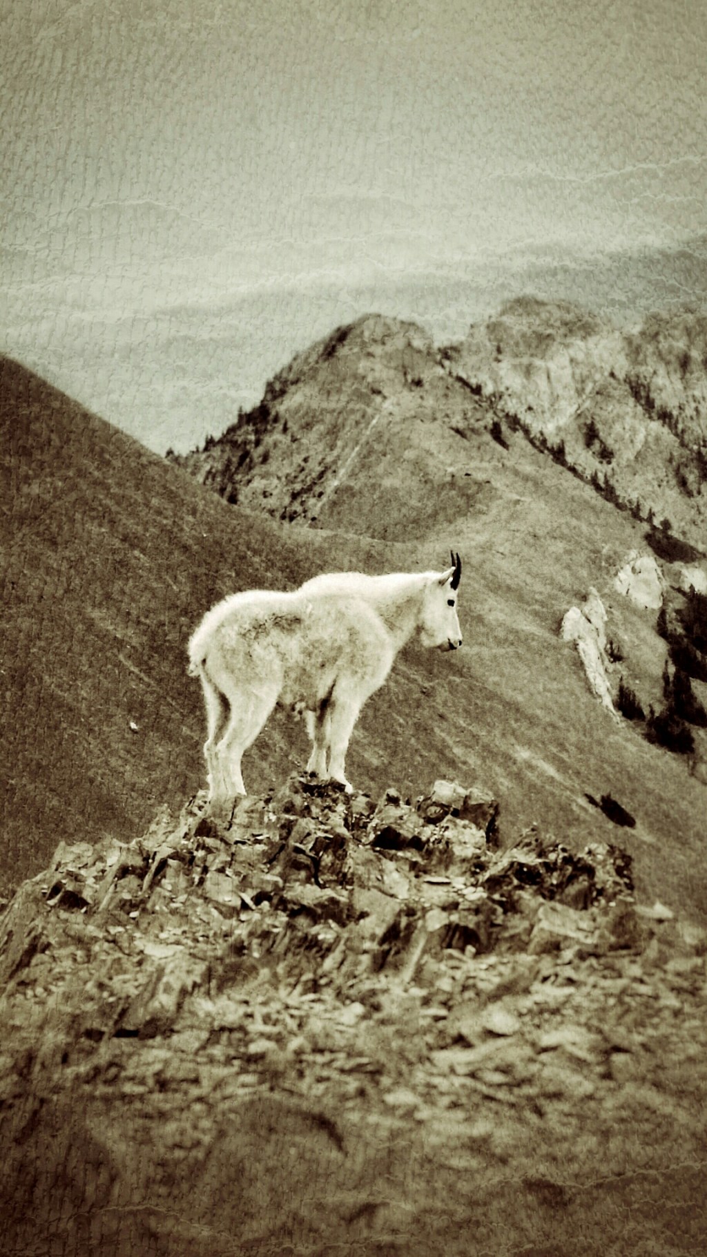 Sacagawea Hike With&nbsp;Paul