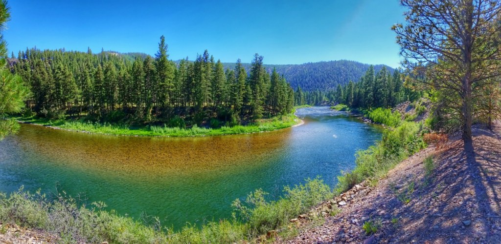 We Ran Through&nbsp;It