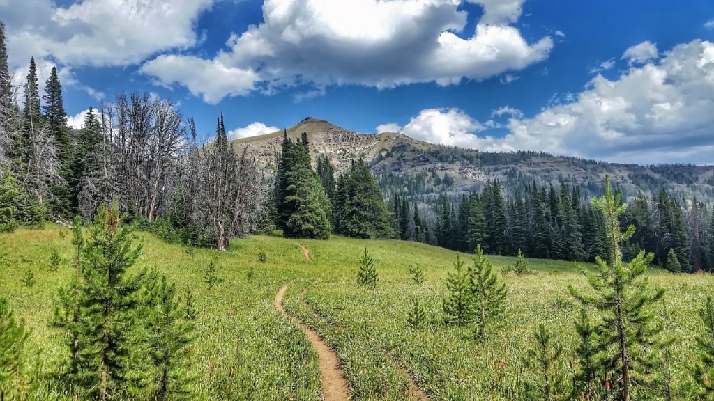 Ramshorn Adventure Day&nbsp;2