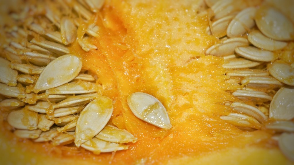 Blue Point Trail&nbsp;Tonight