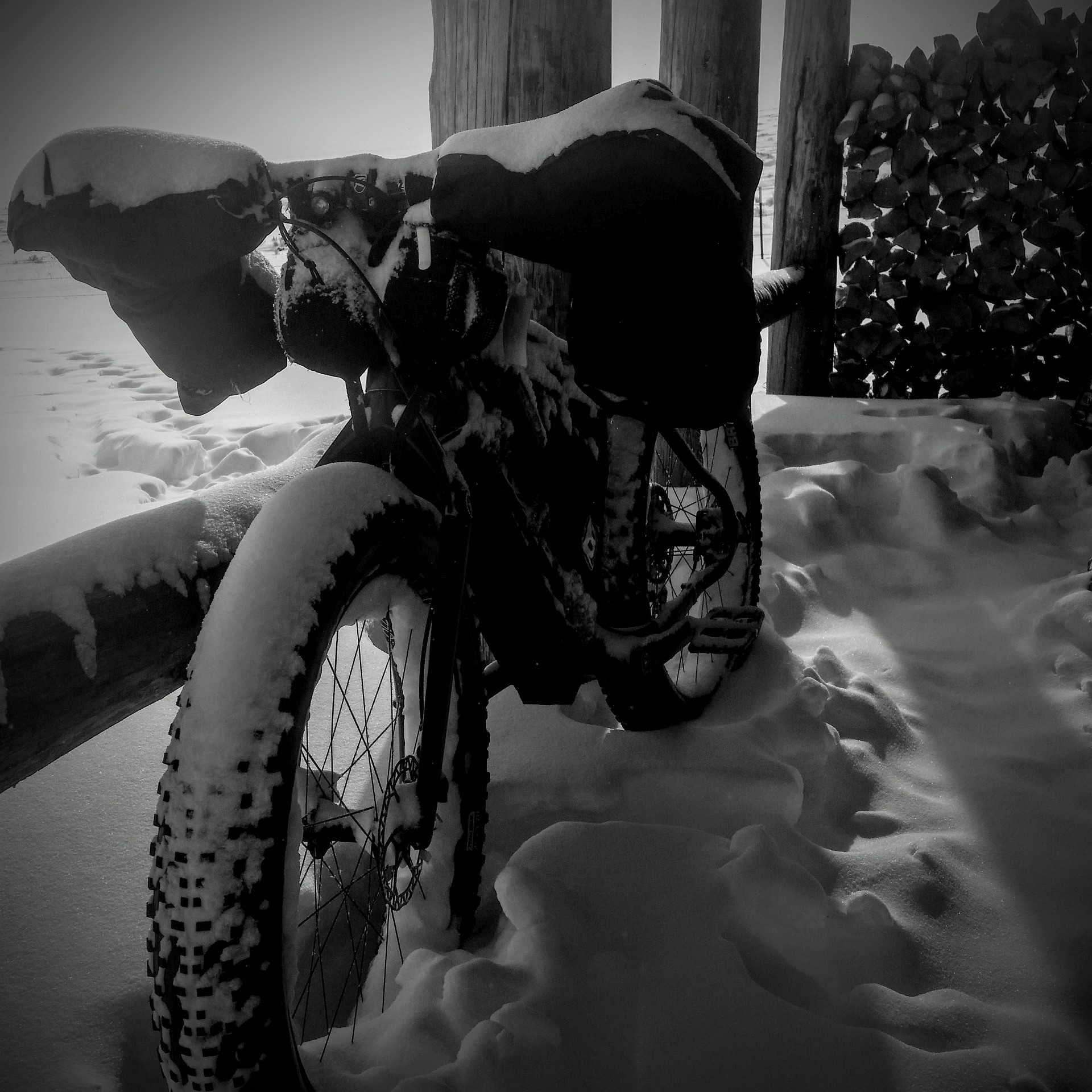 2017 @ Horse Prairie Station