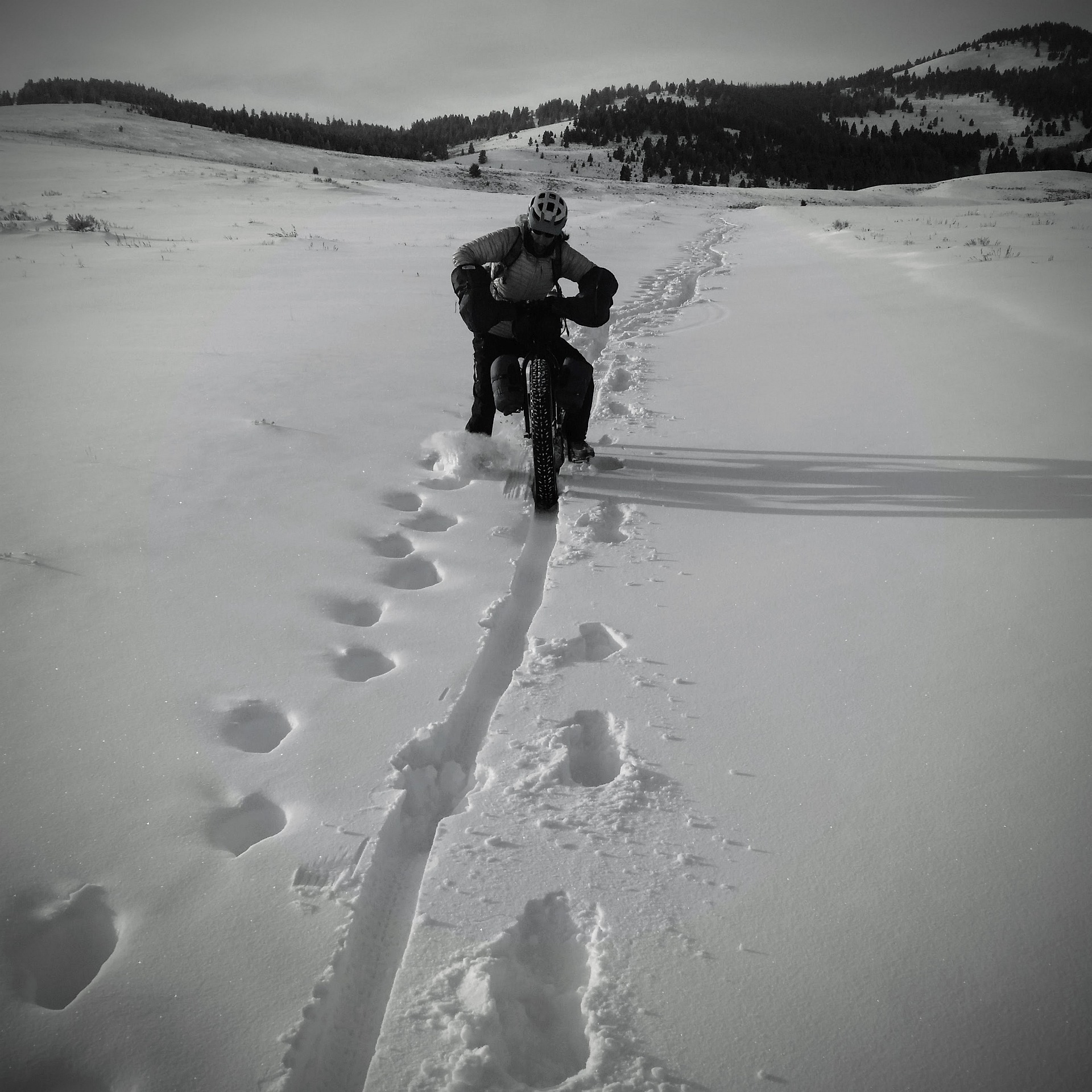 2017 @ Horse Prairie Station