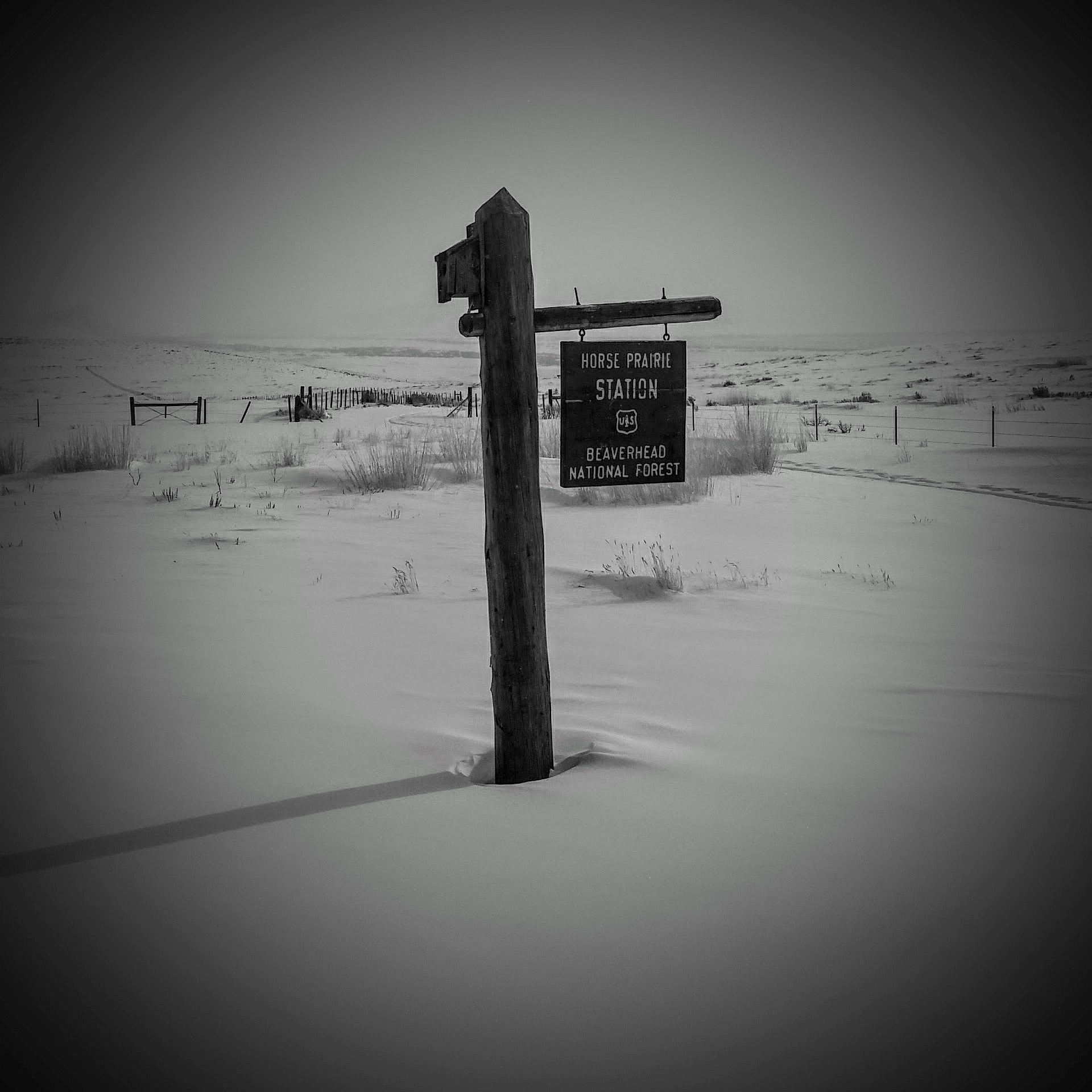 2017 @ Horse Prairie Station