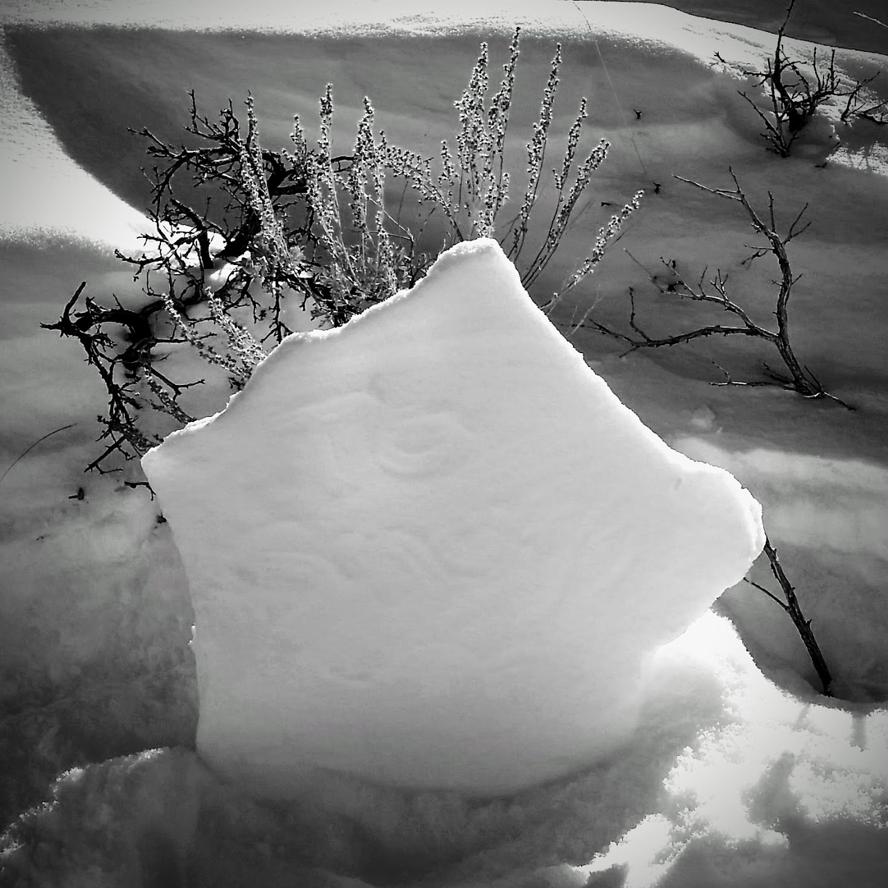 First Day Of 2017 @ Horse Prairie Station