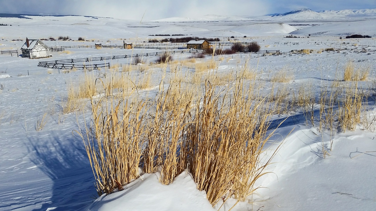 First Day Of 2017 @ Horse Prairie Station