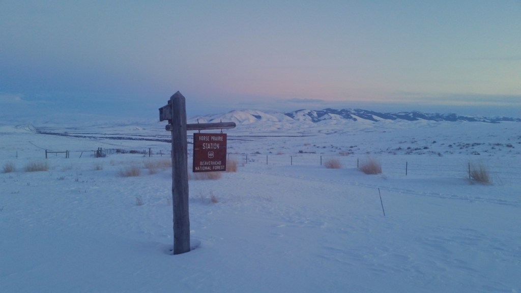 The Color of&nbsp;Cold