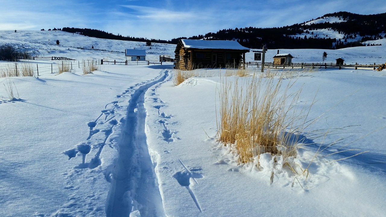 Horse Prairie cabin trip number 2