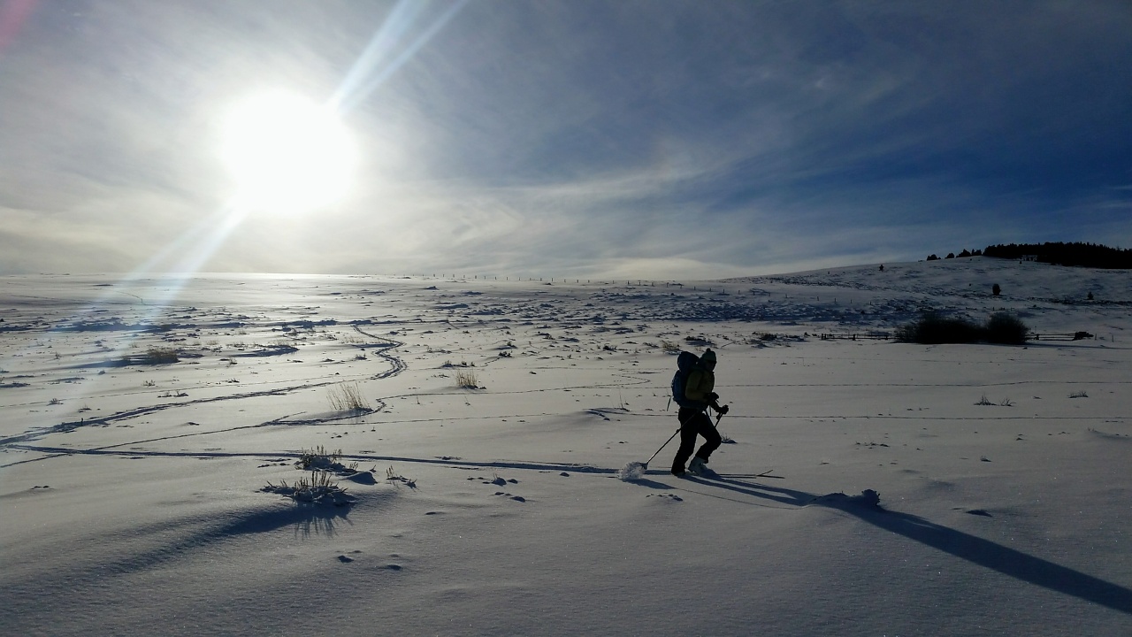 Horse Prairie cabin trip number 2