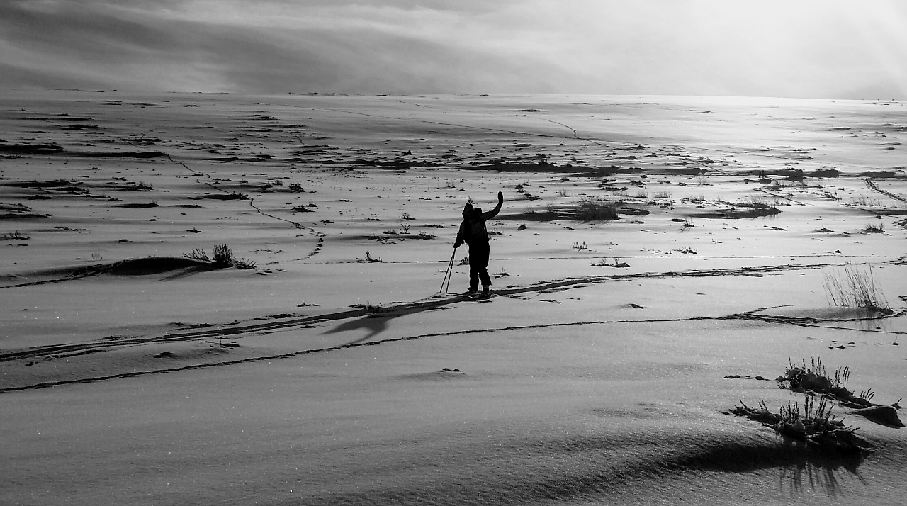 Horse Prairie cabin trip number 2