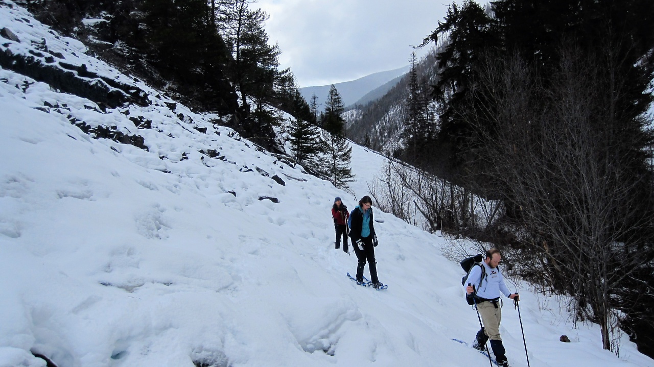 Welcome Creek Snowshoe