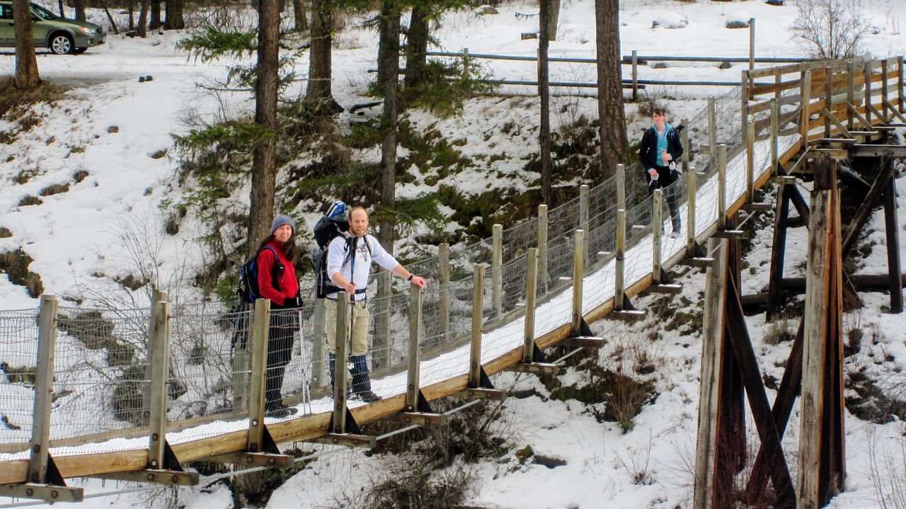 Welcome Creek Snowshoe