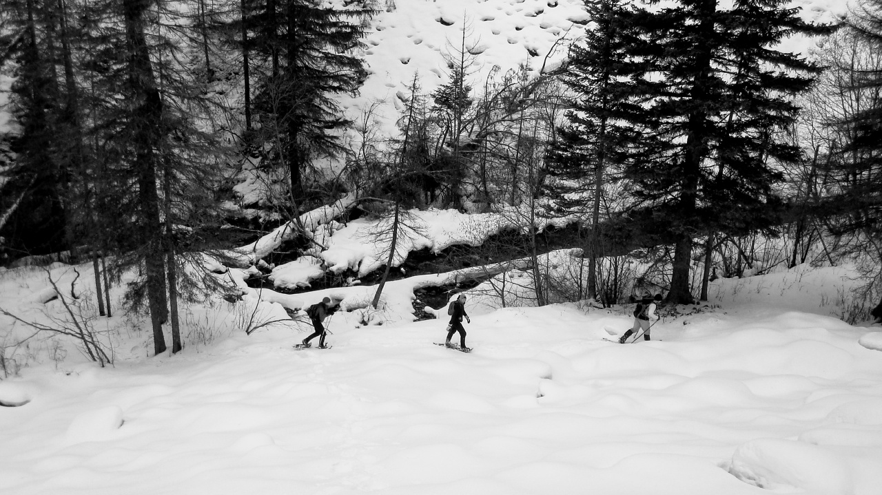 Welcome Creek Snowshoe