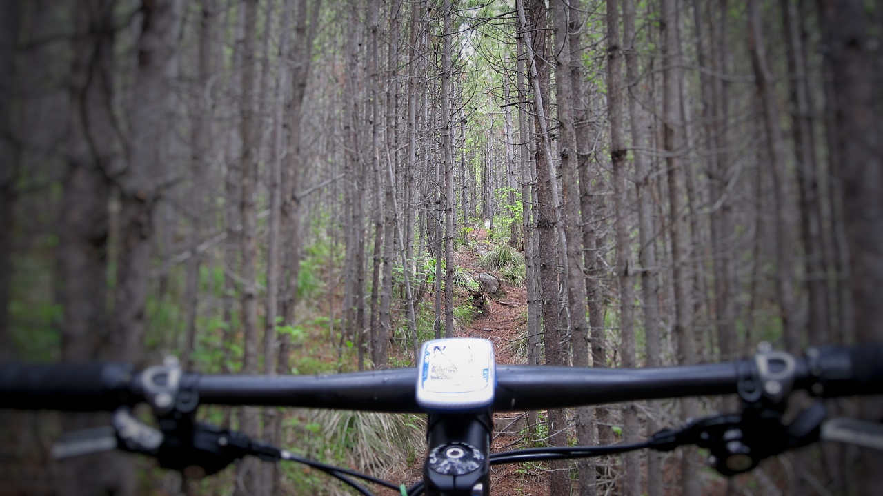 Single Outdoor Loving Ochlophobist