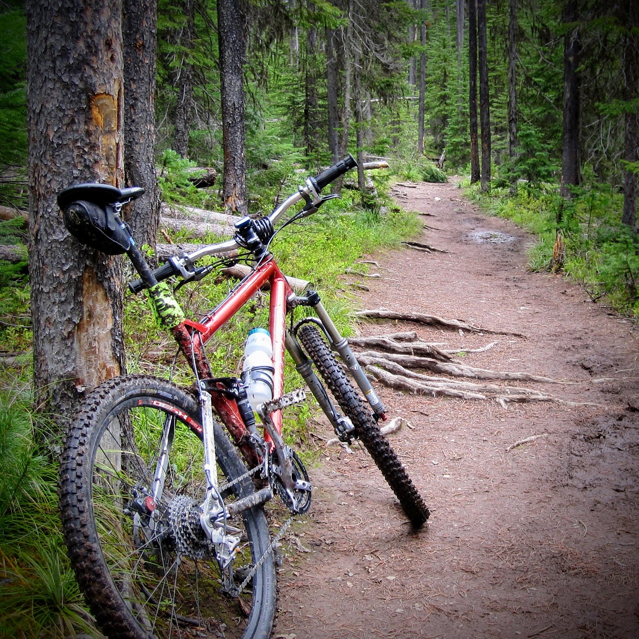 Single Outdoor Loving Ochlophobist